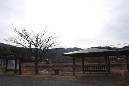 福島県福島市 花見山公園の情報 2020年1月7日 IMG_6811