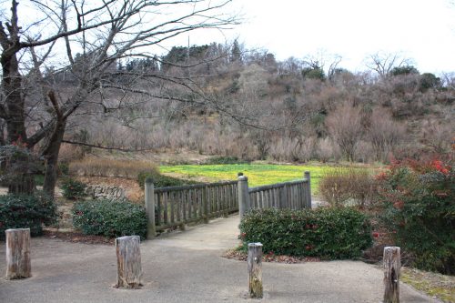 福島県福島市 花見山公園の情報 2020年1月7日 IMG_6812