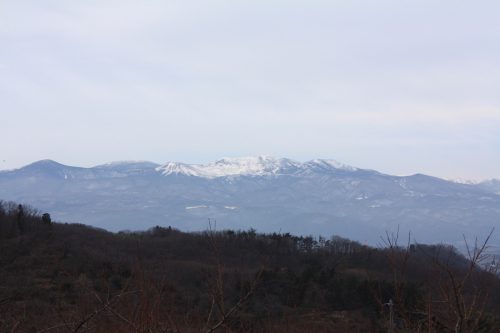 福島県福島市 花見山公園の情報 2020年1月7日 IMG_6822