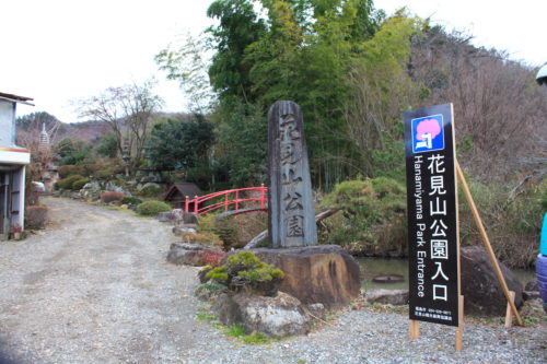 福島県福島市 花見山公園の情報 2020年1月20日 IMG_6829