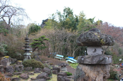 福島県福島市 花見山公園の情報 2020年1月20日 IMG_6833