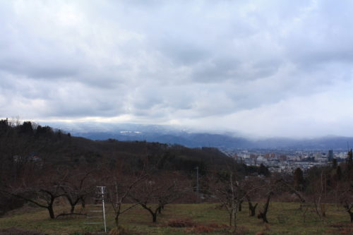 福島県福島市 花見山公園の情報 2020年1月20日 IMG_6836