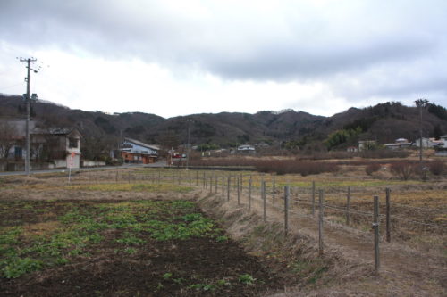 福島県福島市 花見山公園の情報 2020年1月20日 IMG_6837