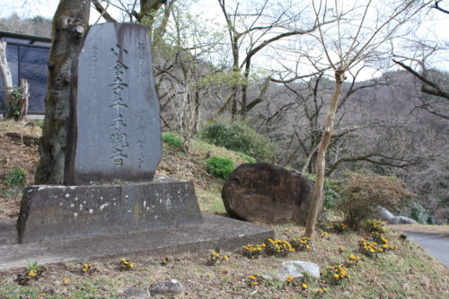 福島県福島市 花見山公園の情報 2020年2月19日 IMG_6870