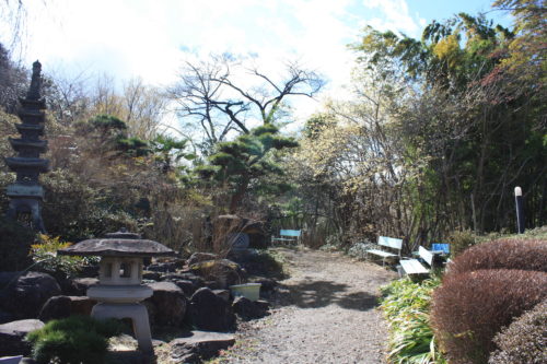 福島県福島市 花見山公園の情報 2020年3月3日 IMG_6877