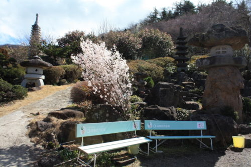 福島県福島市 花見山公園の情報 2020年3月3日 IMG_6878