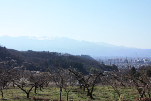 福島県福島市 花見山公園の情報 2020年3月19日 IMG_6917