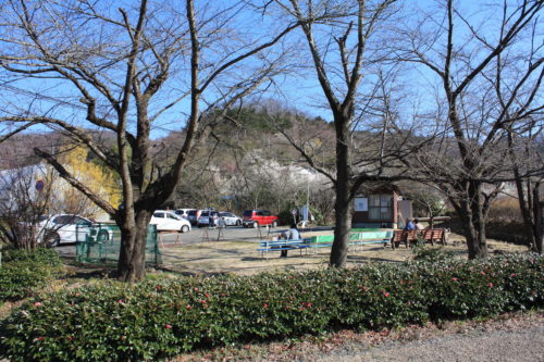 福島県福島市 花見山公園の情報 2020年3月19日 IMG_6924