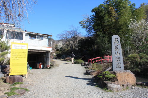 福島県福島市 花見山公園の情報 2020年3月19日 IMG_6926