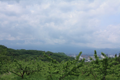 福島県福島市 花見山公園の情報 2020年5月25日 7_7151