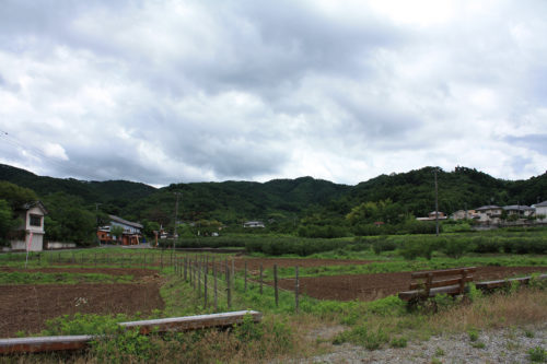 福島県福島市 花見山公園の情報 2020年7月2日 IMG_11