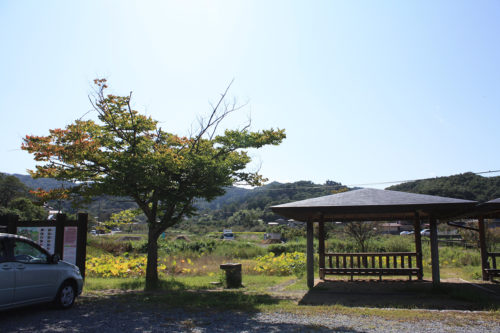 福島県福島市花見山公園2020年10月2日画像7339あづまや