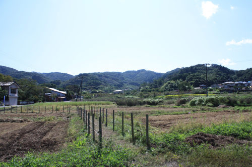 福島県福島市花見山公園2020年10月2日画像7340