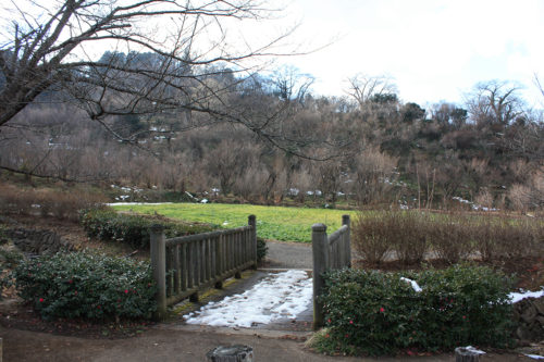 福島県福島市花見山公園2020年12月28日画像。雪残る花見山の菜の花畑1