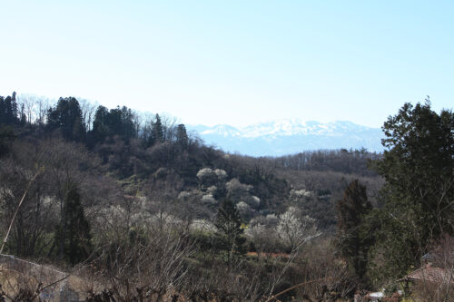 福島県福島市花見山公園2021年3月3日画像。花の谷コースのビュースポット