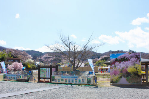 福島県福島市 花見山公園の情報 2021年3月29日　記念撮影用パネル