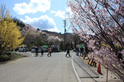 福島県福島市 花見山公園の情報 2021年3月29日 公園入口付近