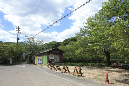 福島県福島市 花見山公園の情報 2021年5月10日 花見山公園前観光案内所