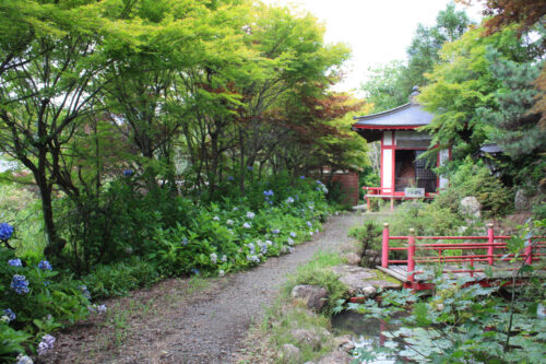 福島県福島市 花見山公園の情報 2021年8月10日 IMG_8759