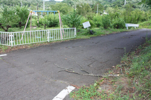 福島県福島市 花見山公園の情報 2021年8月10日 IMG_8796