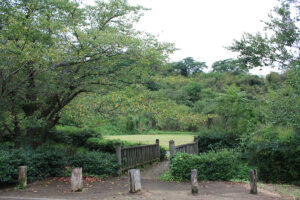 福島県福島市 花見山公園の情報 2021年9月3日 IMG-20210903h2s