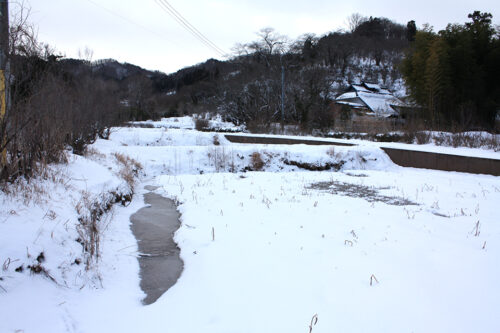 福島県福島市 花見山公園の情報 2022年1月19日 IMG_9037