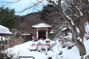 福島県福島市 花見山公園の情報 2022年1月19日 IMG_9058