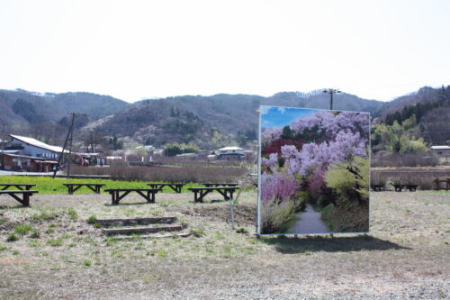 福島県福島市 花見山公園の情報 2022年3月30日 IMG_9085