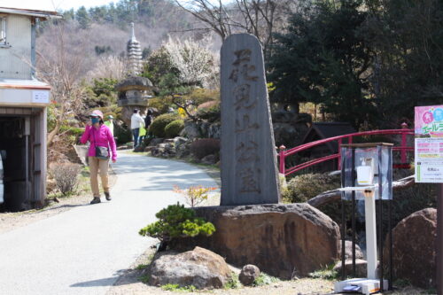 福島県福島市 花見山公園の情報 2022年3月30日 IMG_9122