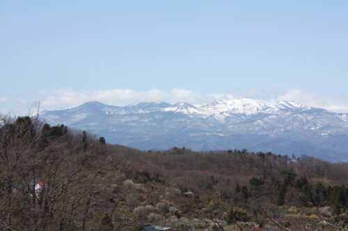 福島県福島市 花見山公園の情報 2022年3月30日 IMG_9130