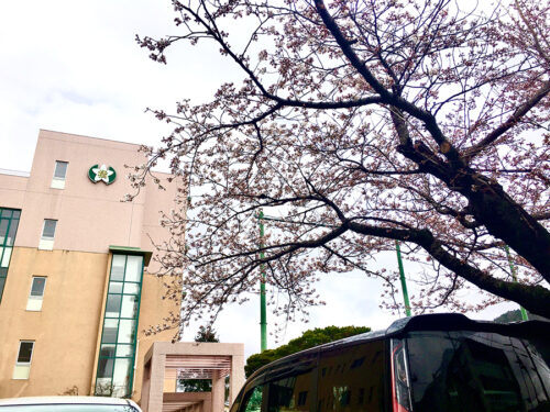 2022年4月5日橘高校の桜 MG_3860