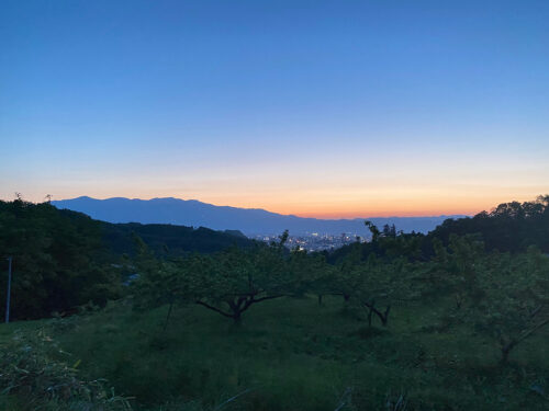 福島県福島市 花見山公園の情報 2022年5月25日 IMG_6405