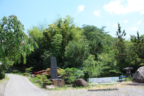 福島県福島市 花見山公園の情報 2022年7月4日 IMG_9323