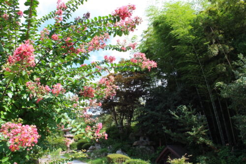 福島県福島市 花見山公園の情報 2022年8月28日 IMG_9484