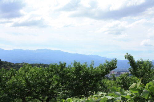 福島県福島市 花見山公園の情報 2022年8月28日 IMG_9491