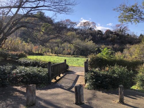 福島県福島市 花見山公園の情報 2022年11月7日 IMG_6316