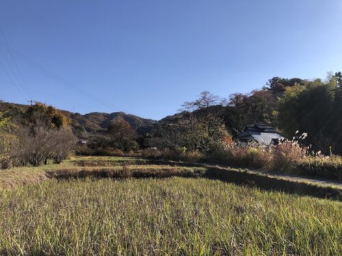 福島県福島市 花見山公園の情報 2022年11月7日 IMG_6328