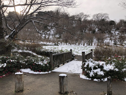 福島県福島市 花見山公園の情報 2022年12月19日 IMG_7306