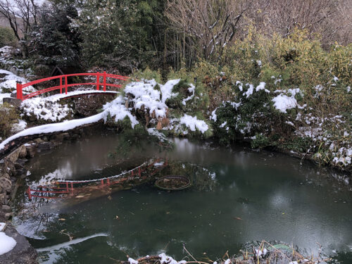 福島県福島市 花見山公園の情報 2022年12月19日 IMG_7310