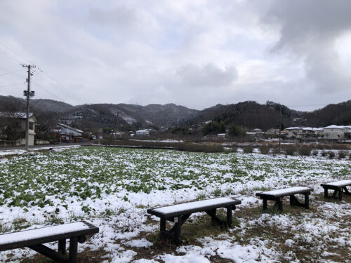 福島県福島市 花見山公園の情報 2022年12月19日 IMG_7314