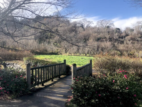 福島県福島市 花見山公園の情報 2022年12月13日 IMG_7155