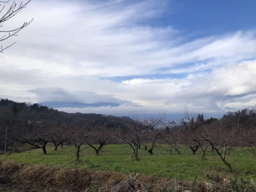 福島県福島市 花見山公園の情報 2022年12月13日 IMG_7164