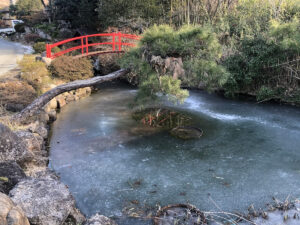 福島県福島市 花見山公園の情報 2023年1月6日 IMG_7797