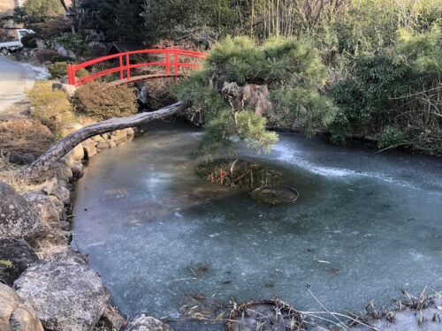 福島県福島市 花見山公園の情報 2023年1月6日 IMG_7797