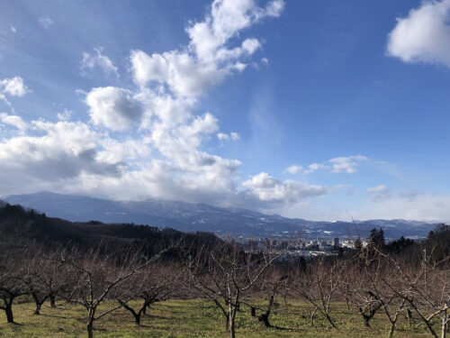 福島県福島市 花見山公園の情報 2023年1月6日 IMG_7802