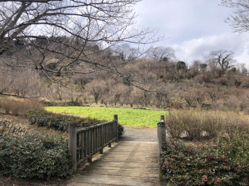 福島県福島市 花見山公園の情報 2023年2月24日 IMG_0050