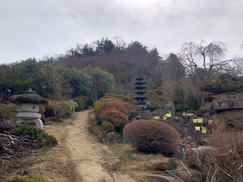 福島県福島市 花見山公園の情報 2023年2月24日 IMG_0056