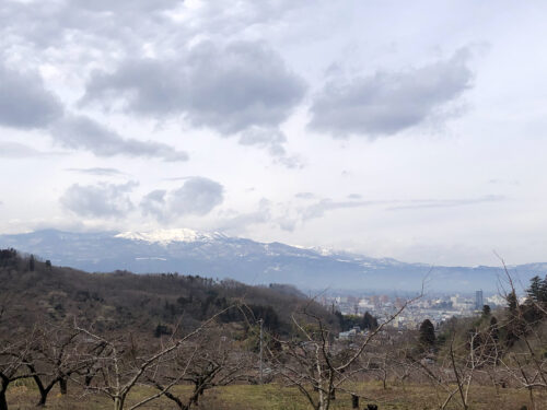 福島県福島市 花見山公園の情報 2023年2月24日 IMG_0063