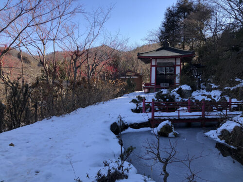 福島県福島市 花見山公園の情報 2023年2月6日 IMG_8885s