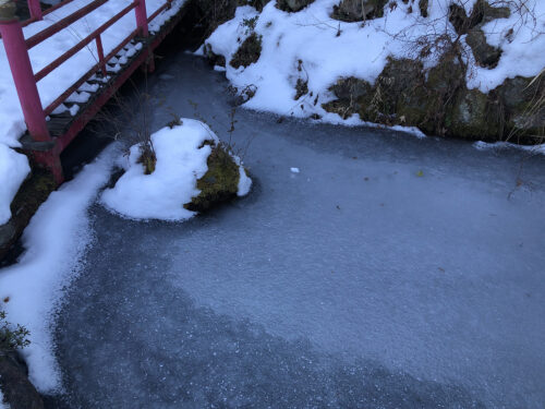 福島県福島市 花見山公園の情報 2023年2月6日 IMG_8886s